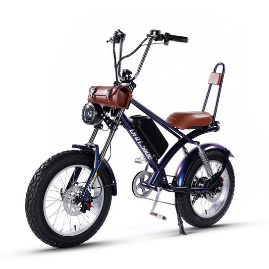 DS-9 Adult Electric Bike – Blue, Single-Speed, 1500W Peak Power, Top Speed 55 km/h, Equipped with 48V 20.8Ah Battery, 20" x 4" Fat Tires, High Stability and Strong Endurance.
