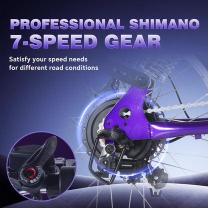 DS-9 Adult Electric Bike(blue) – 7-speed transmission, 1500W peak power, top speed of 55 km/h, equipped with a 48V 20.8Ah battery, 20" x 4" fat tires, high stability, and strong endurance.